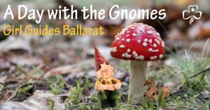 A Day With The Gnomes