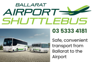 Airport Shuttlebus (4)