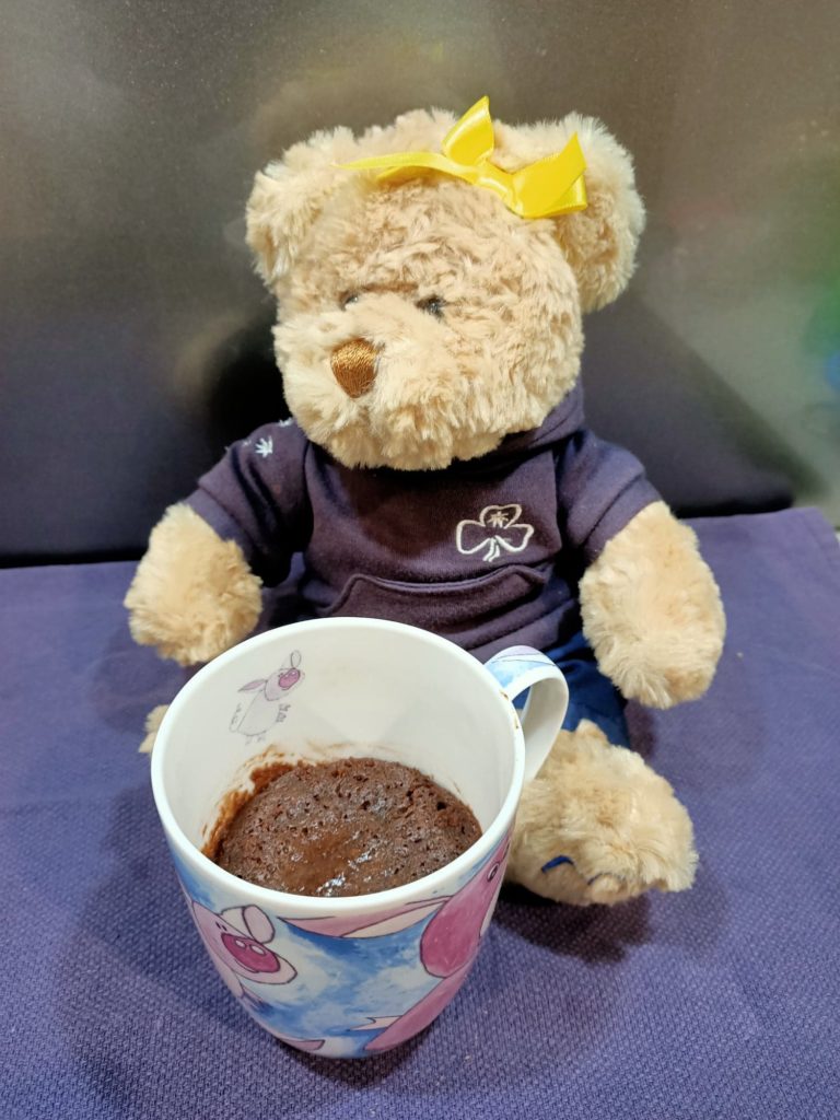Delacombe Guides Mug Fudge Brownie