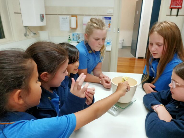 Delacombe Junior Guides Choc Chip Day (4) Delacombe Junior Guides Choc Chip Day (4)