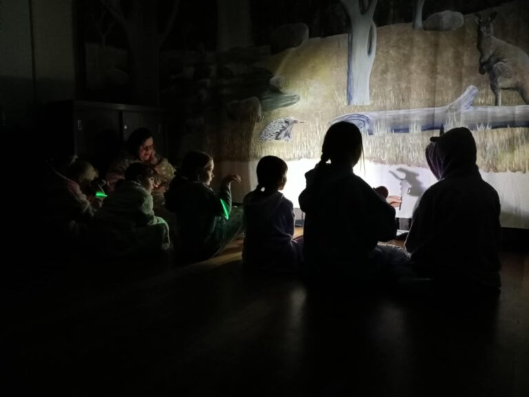 Delacombe Junior Guides In The Dark (1) Delacombe Junior Guides In The Dark (1)
