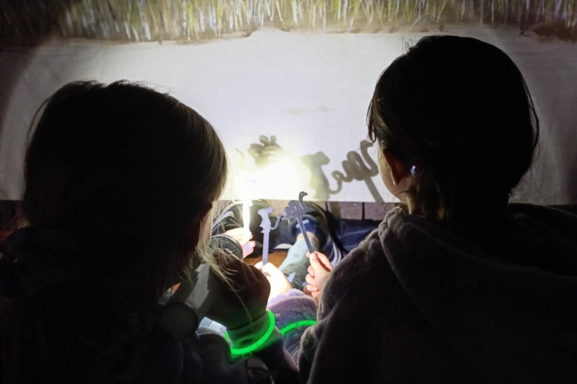 Delacombe Junior Guides In The Dark (11)