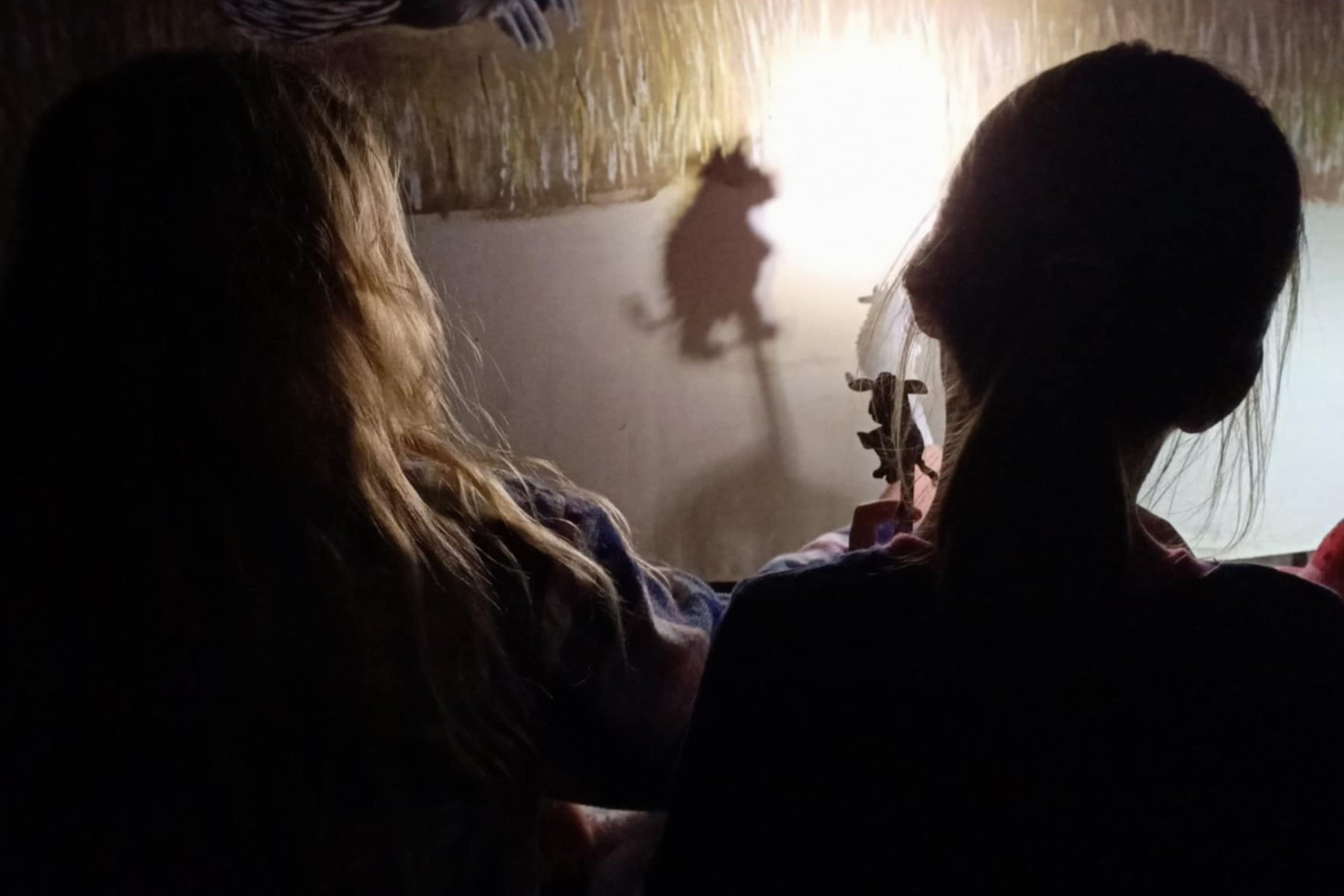 Delacombe Junior Guides In The Dark (12)