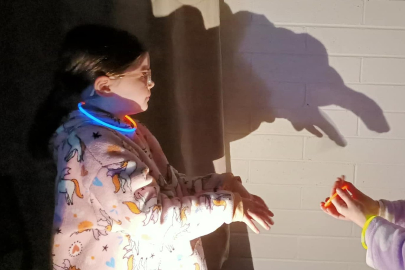 Delacombe Junior Guides In The Dark (14)