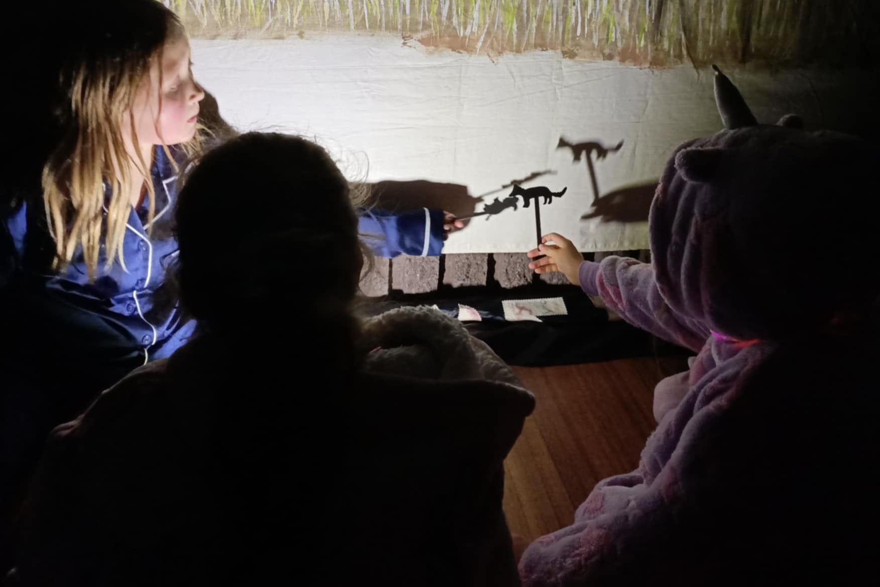 Delacombe Junior Guides In The Dark (16)