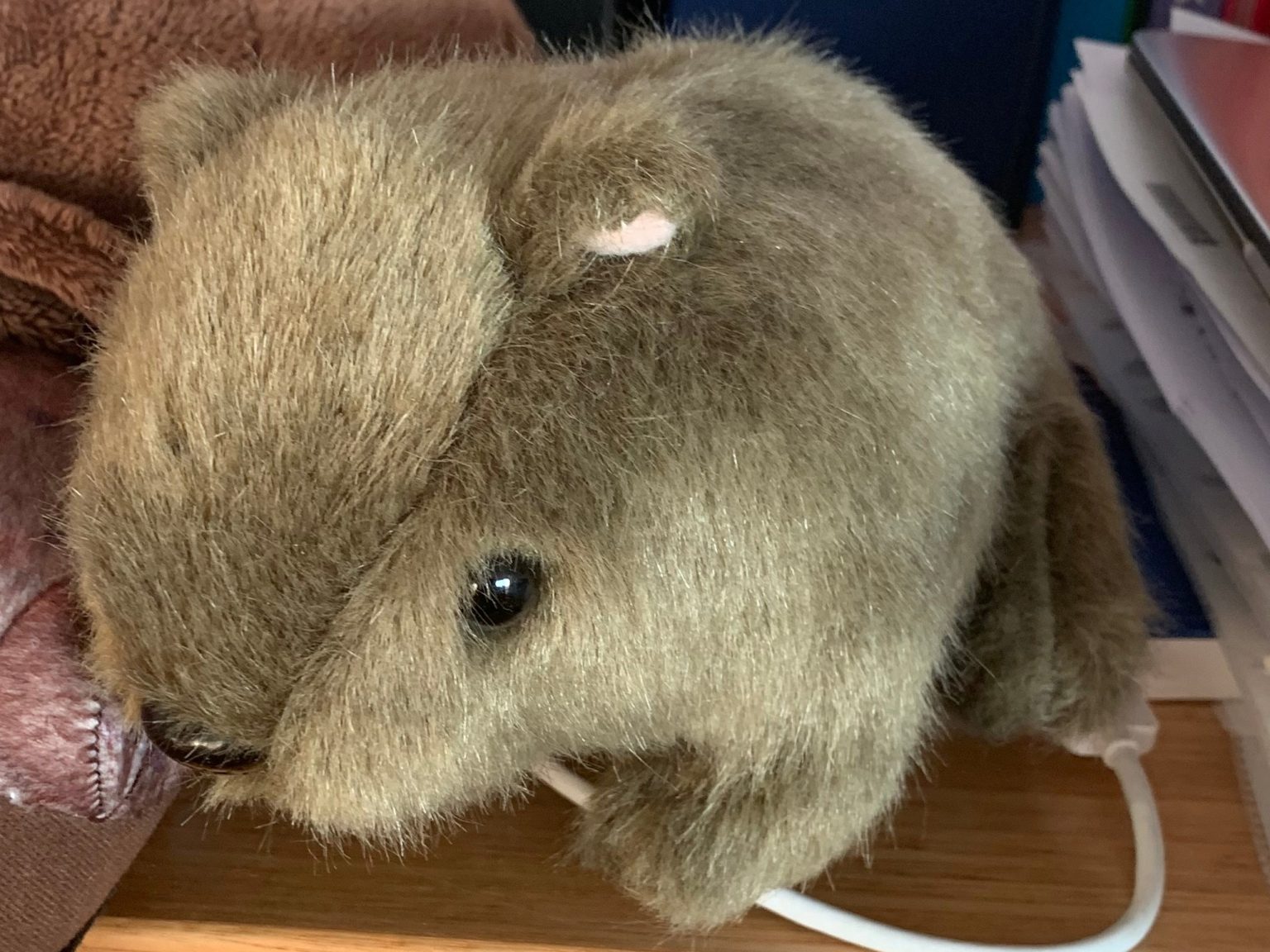 Wombat Mascot