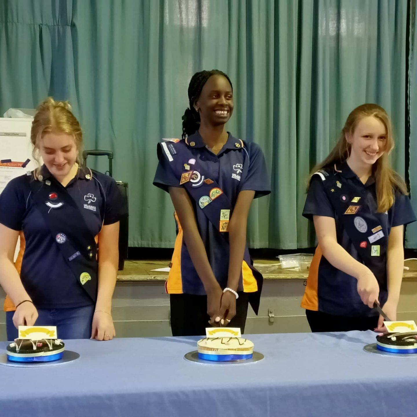 11th Ballarat Guides BP Cakes