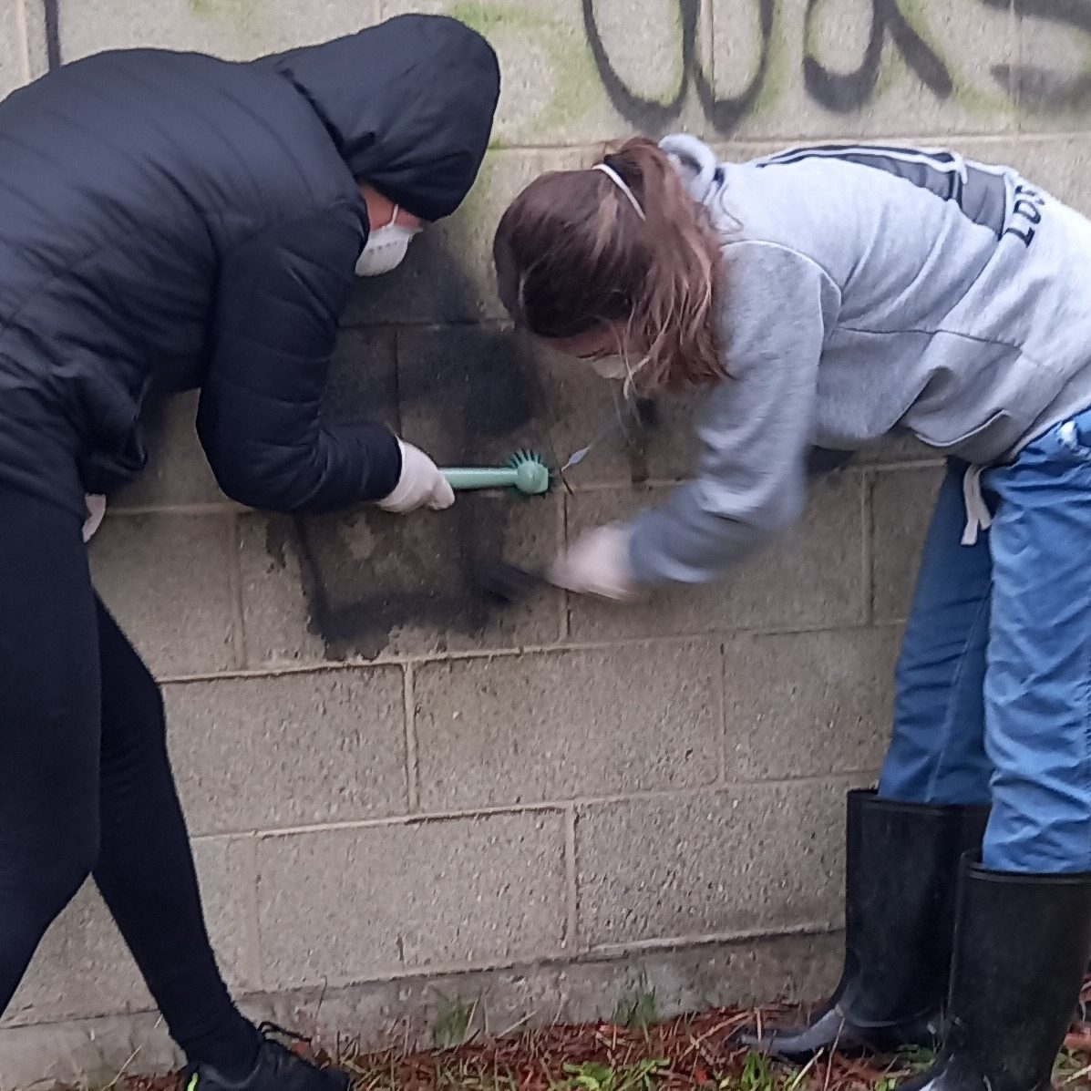 11th Ballarat Guides Clean Graffiti (5)