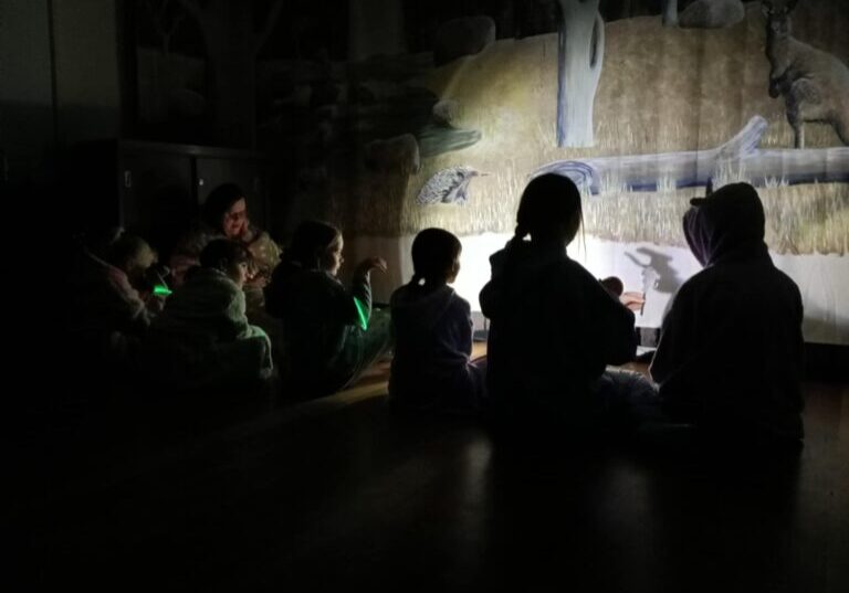 Delacombe Junior Guides In The Dark (1)