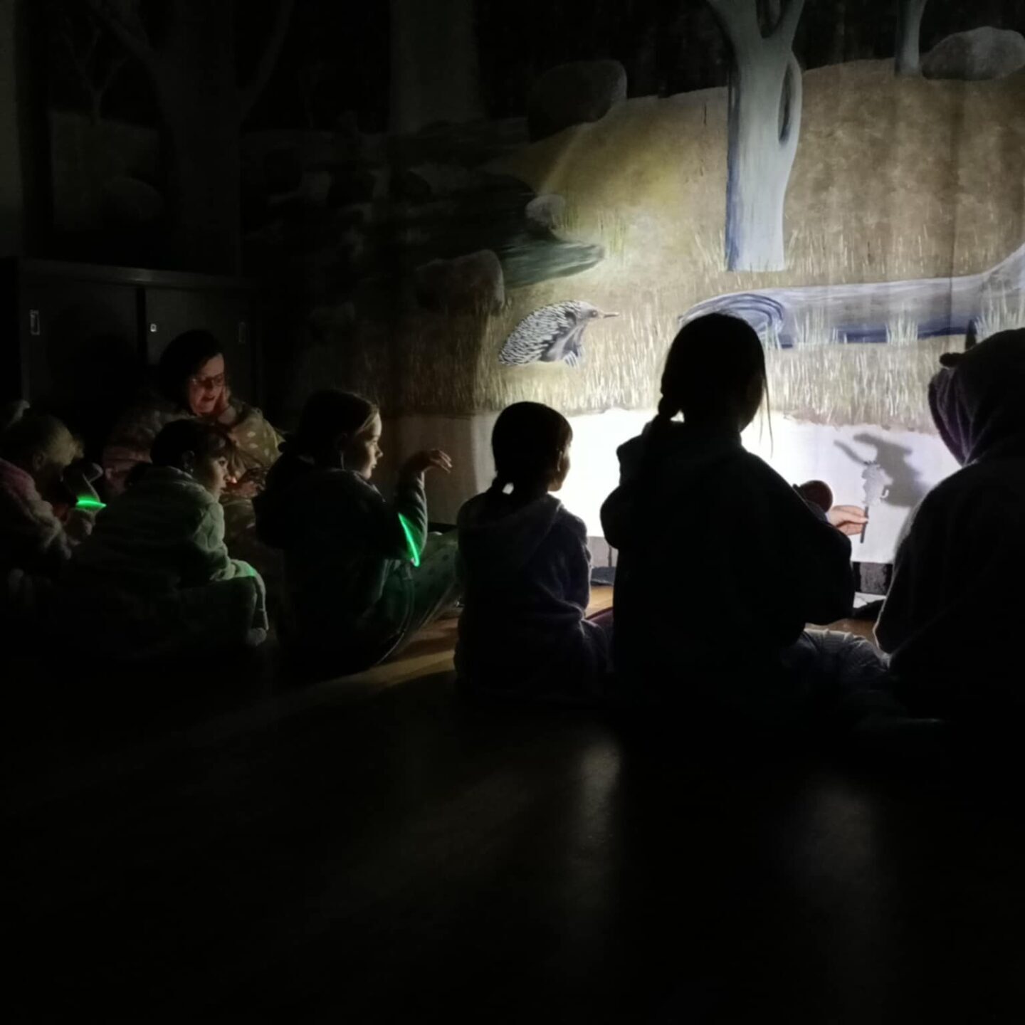 Delacombe Junior Guides In The Dark (1)