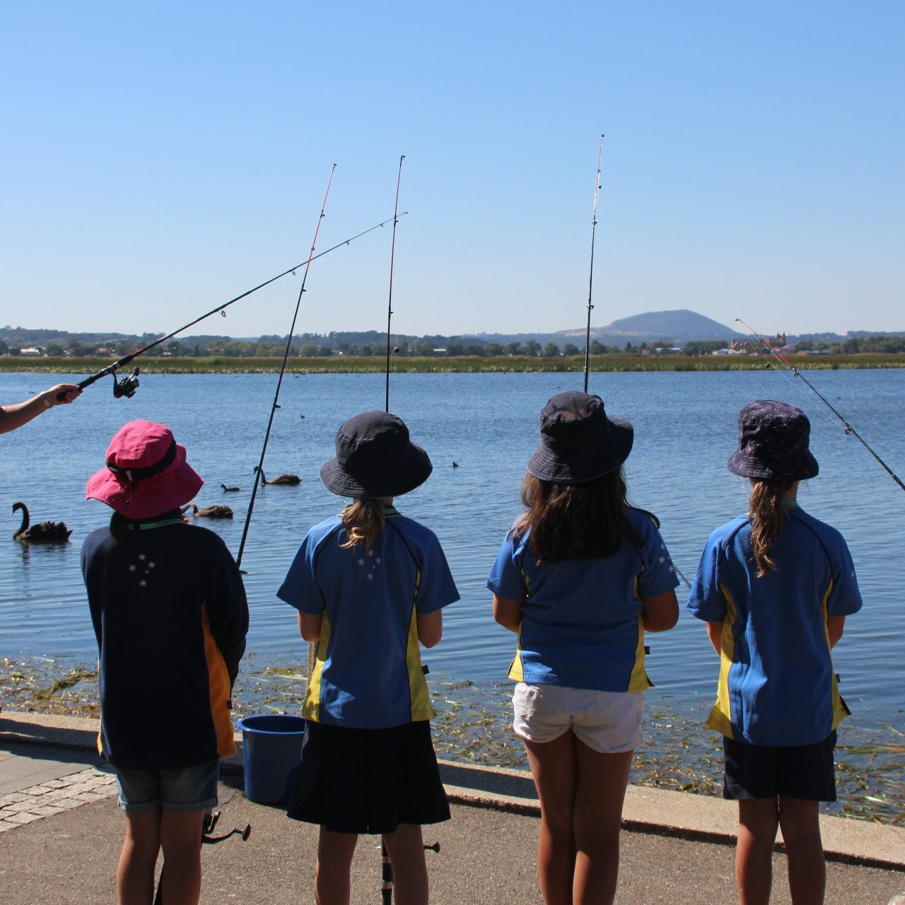 Girl Guide Environment Day 2017