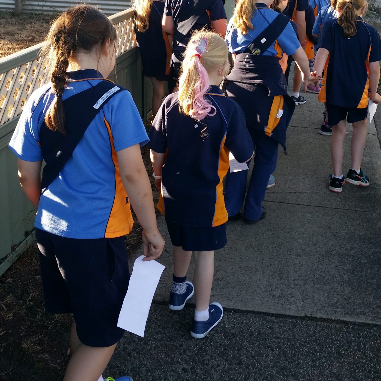 GirlGuidesBallarat Walking Delacombe