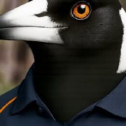Magpies Image